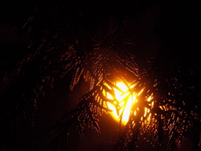 Краса вечірнього Берестечка: зворушливі фото