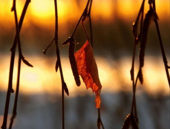 Краса вечірнього Берестечка: зворушливі фото
