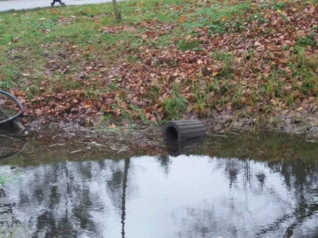 У луцькому парку «похазяйнували» вандали. ФОТО
