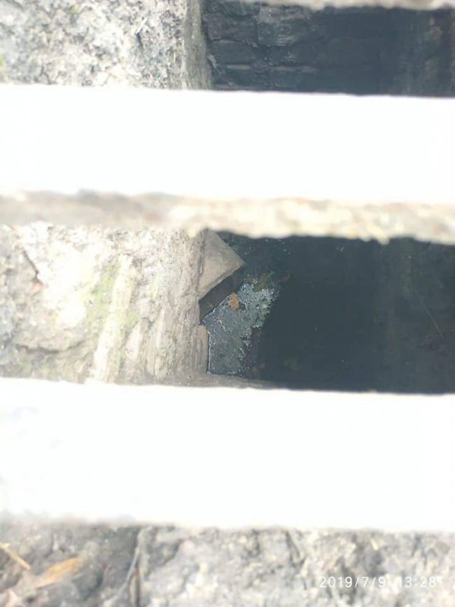 У Луцьку «на гарячому»  зловили жінку, яка зливала фекалії на вулиці. ФОТО