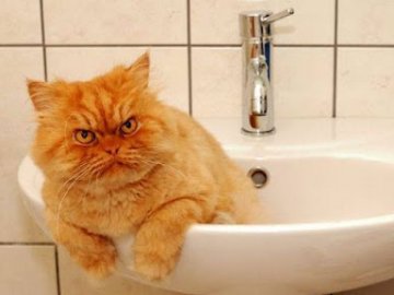 У Луцьку декілька будинків – без холодної води