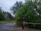 Біля суду у Ківерцях буревій звалив дерево на лінії електропостачання