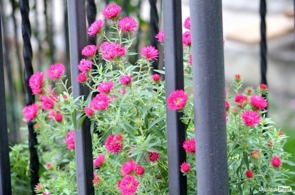 Фотопогляд: вулиця Богдана Хмельницького