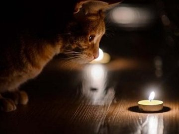 Де на Волині не буде світла 20 грудня. ГРАФІКИ