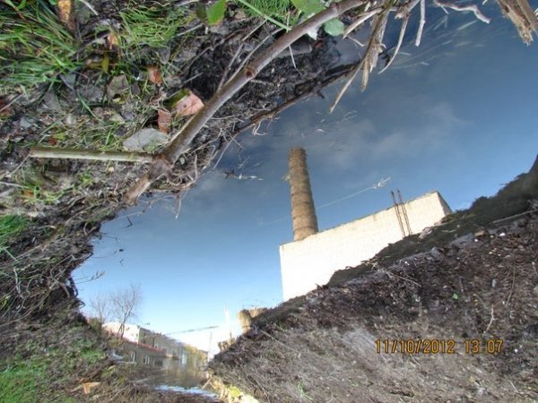 Команда Чайка