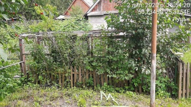  Нібито приватні території: мешканців луцьких багатоповерхівок змушують демонтувати незаконні паркани, городи і шини з квітами 