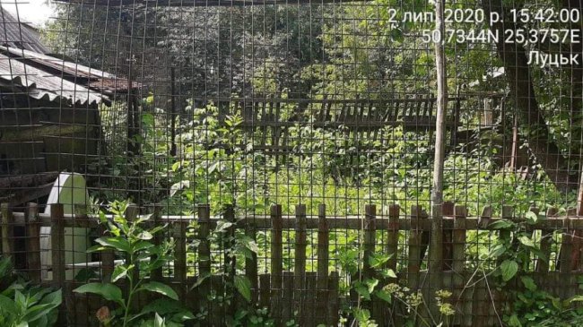  Нібито приватні території: мешканців луцьких багатоповерхівок змушують демонтувати незаконні паркани, городи і шини з квітами 