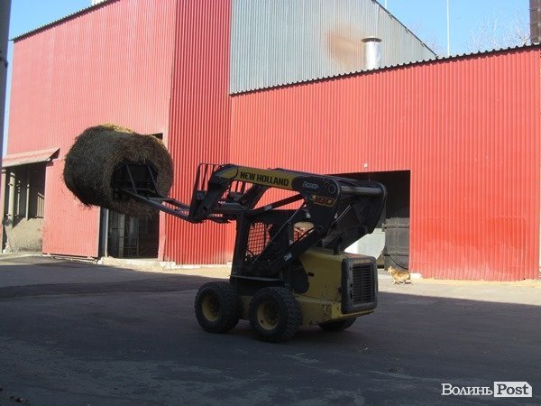 На Волині зерно сушать за допомогою сіна. ФОТО