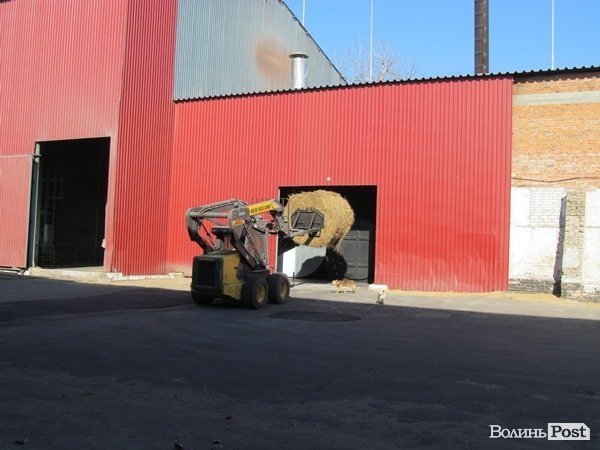 На Волині зерно сушать за допомогою сіна. ФОТО