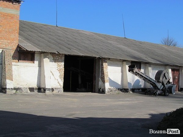 На Волині зерно сушать за допомогою сіна. ФОТО