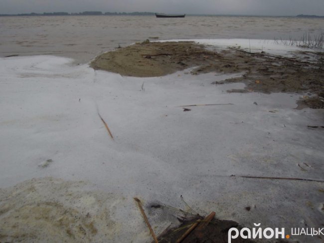 Самотній і чудернацький: оприлюднили фото осіннього Світязю