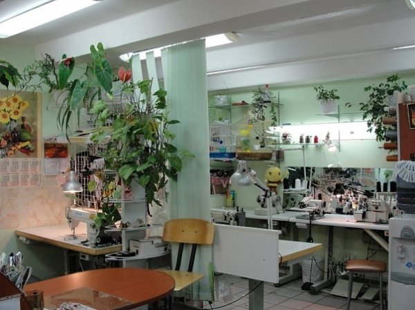 Лучанка, перешиваючи одяг, заробляє до 8 тисяч. ФОТО