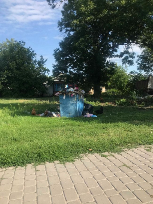 Нестерпний сморід у місті: в Устилузі комунальники два тижні не вивозять сміття. ФОТО