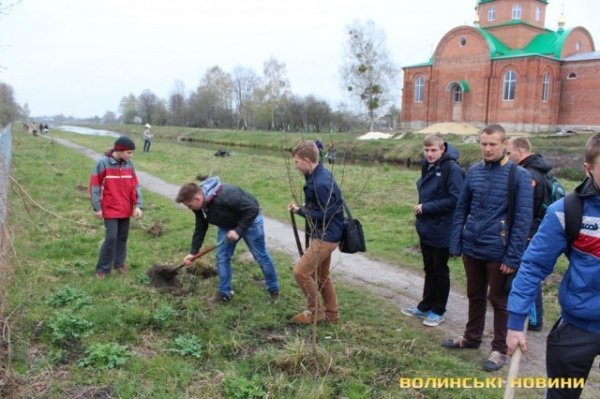 На Волині висадили алею Небесної сотні. ФОТО