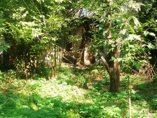 У Привокзальному мікрорайоні Луцька зламають хліви, які простояли 25 років. ФОТО