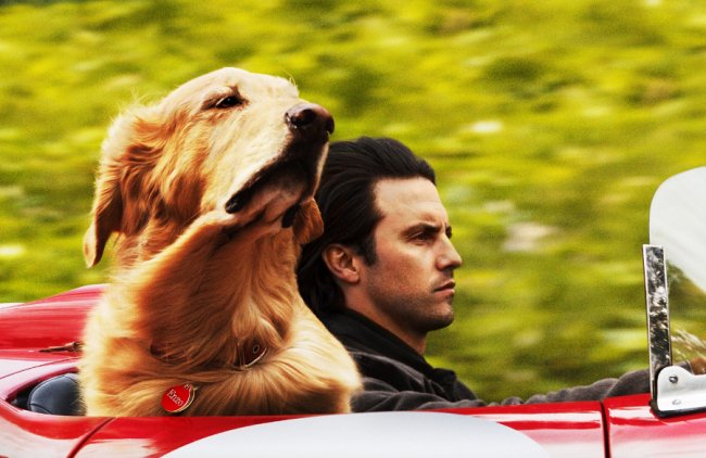 Куди піти на вихідні у Луцьку: 27 – 29 вересня