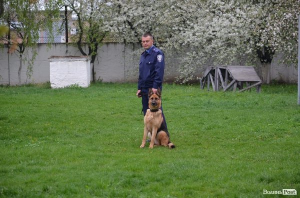 Джолі та її господар