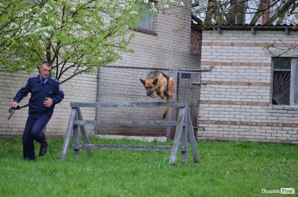Джолі долає смугу перешкод