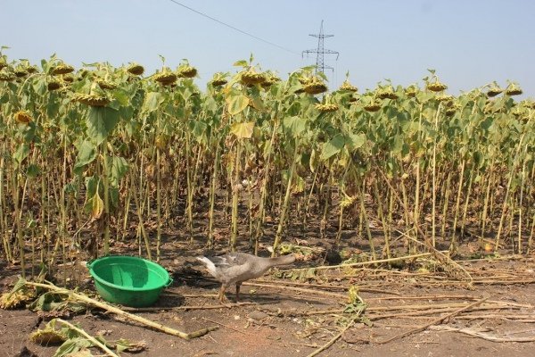 Я такий патріот дурний, що як мені повістку дають, то йду, − волинянин з передової. ФОТО