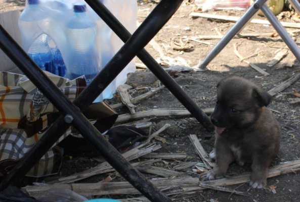 Я такий патріот дурний, що як мені повістку дають, то йду, − волинянин з передової. ФОТО