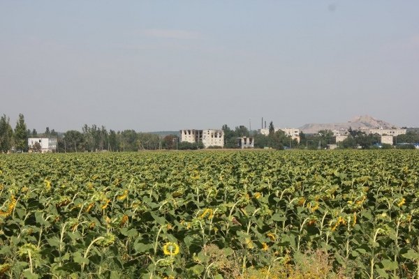Я такий патріот дурний, що як мені повістку дають, то йду, − волинянин з передової. ФОТО