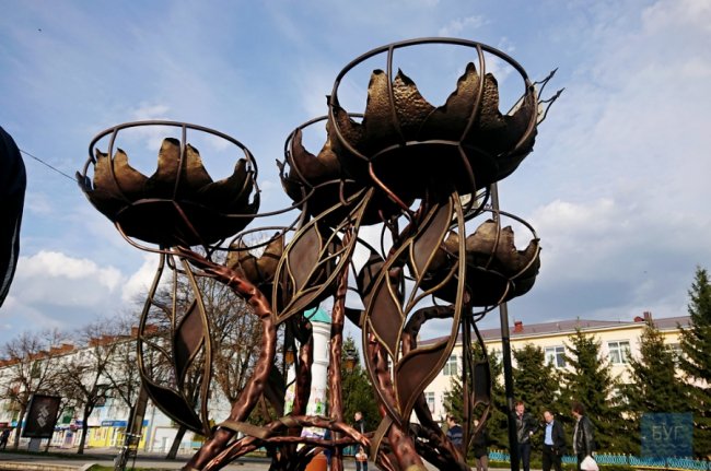 У місті на Волині встановили клумби для вертикального озеленення. ФОТО