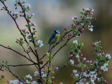 Погода у Луцьку на завтра, 15 травня