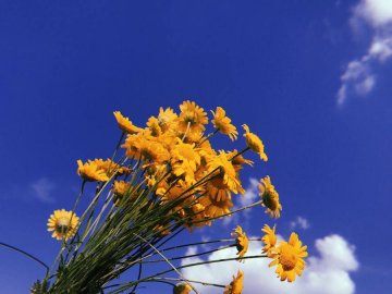 Добрі новини від ВолиньPost за 5 вересня 