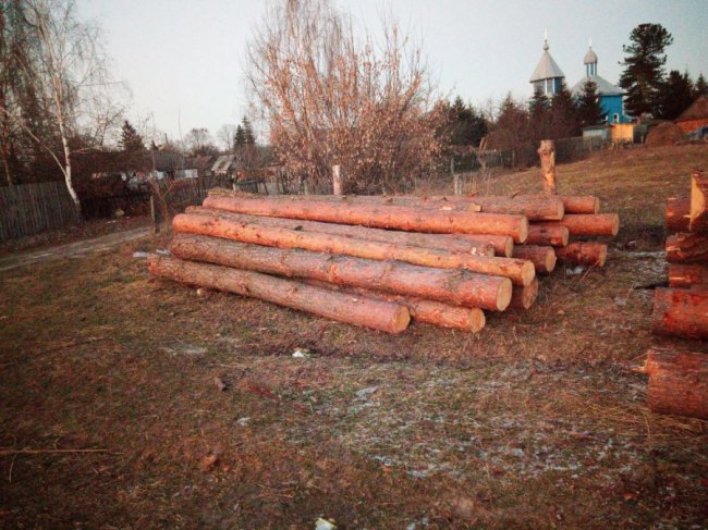 На Волині лісники влаштували засідку, щоб впіймати браконьєрів