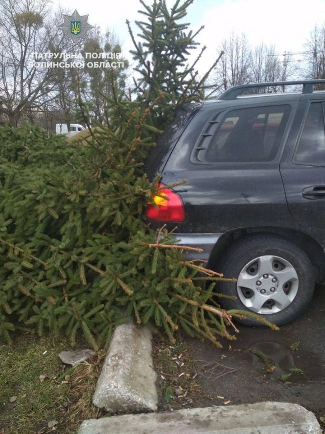 Повалений рекламний щит і побиті автівки: наслідки негоди у Луцьку. ФОТО