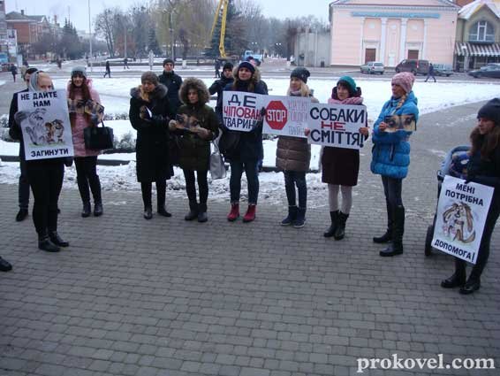 «Собаки – не сміття»: у Ковелі мітингували зоозахисники. ФОТО