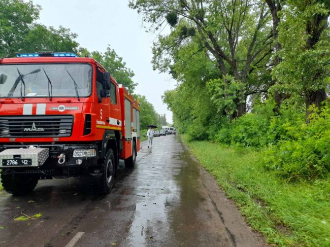 У районі на Волині негода повалила дерева на дороги і автівки 