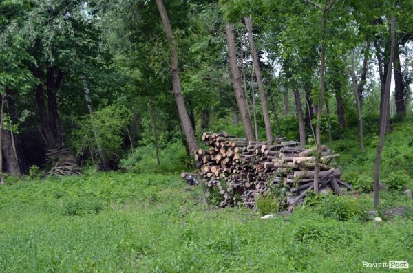 Пляж у Луцьку до купального сезону поки не готовий. ФОТО