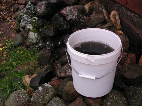 В Естонії пішов чорний дощ