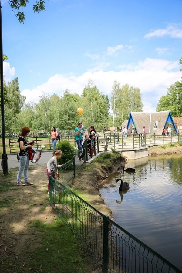 Гостей у вишиванках в Луцький зоопарк впускали безкоштовно. ФОТО