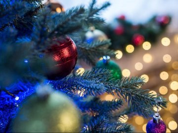 Ялинку вважають символом Різдва, а не Нового року, – волинська науковиця