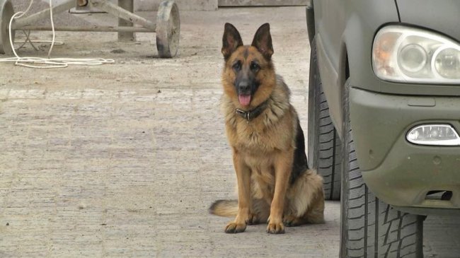 Луцькі волонтери з початку повномасштабної війни щотижня їздять на передову. ВІДЕО