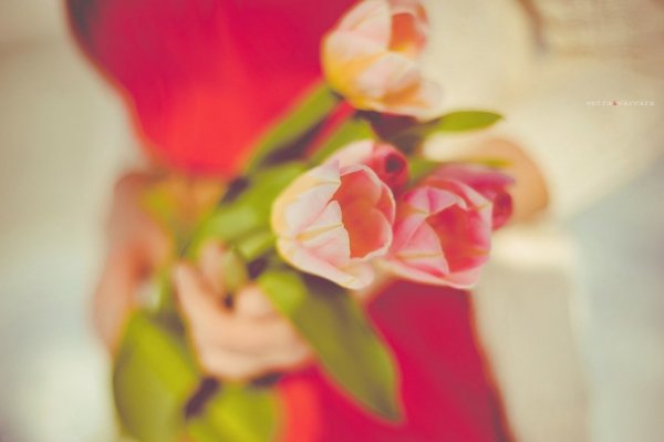 Фотовиставка Віталія та Варвари Шевчуків