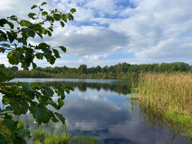 У курортному районі Волині хочуть створити центр для підготовки олімпійців, паралімпійців та реабілітації воїнів 
