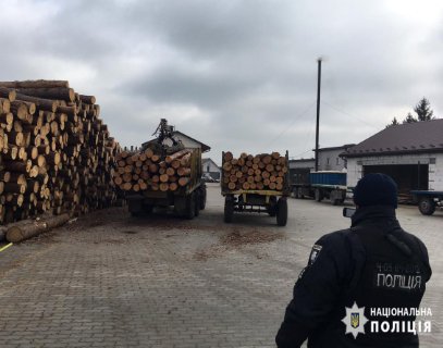 У Камінь-Каширському районі – масові обшуки на пилорамах. ФОТО. ВІДЕО