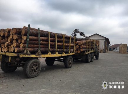 У Камінь-Каширському районі – масові обшуки на пилорамах. ФОТО. ВІДЕО