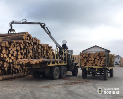 У Камінь-Каширському районі – масові обшуки на пилорамах. ФОТО. ВІДЕО