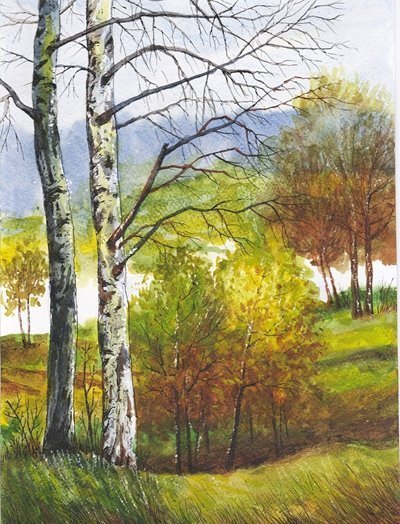 У Луцьку показали «Краєвиди Волині»