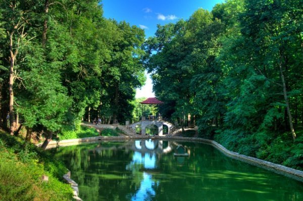 Найкрасивіші дендропарки України, які варто відвідати. ФОТО