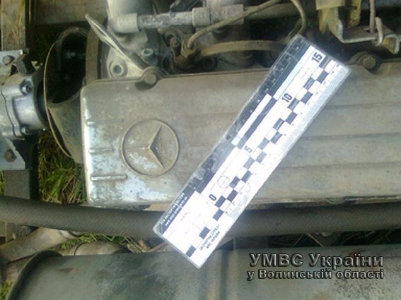 На Волині затримано групу бурштинокопачів. ФОТО. ВІДЕО