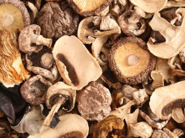 Скільки коштують сушені гриби на Волині