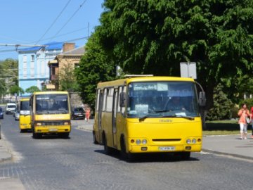 Луцькрада обіцяє відновити рух маршруток і тролейбусів навіть без дозволу ОДА