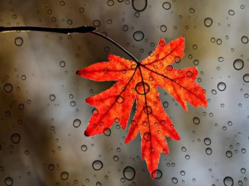  Погода на завтра, 3 жовтня, у Луцьку та Волинській області