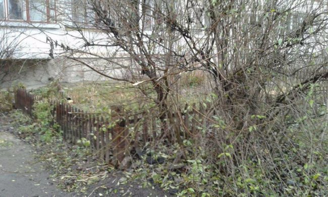 У спальних районах Луцька муніципали прибирали городи