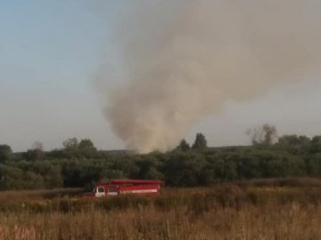 На Волині через спалювання соломи загорівся берег річки. ФОТО, ВІДЕО